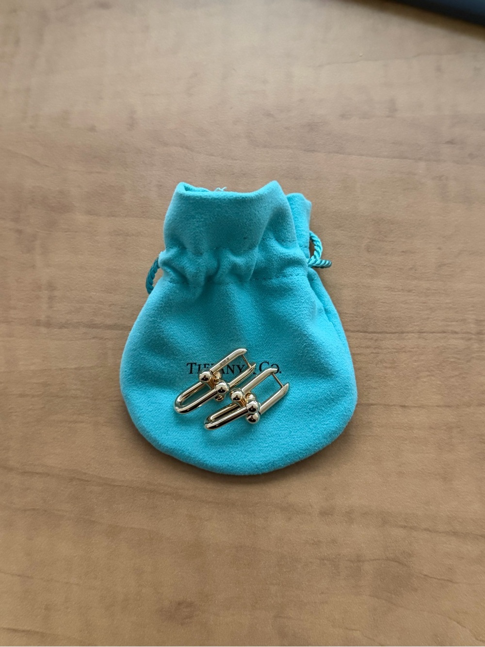 Tiffany HardWear Medium Link Earrings in Yellow Gold